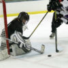 HEWS HARMON SAVE
