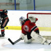 LID SAVE
