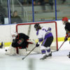 barrett save