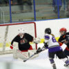 flyingpuckinnet