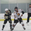 bisons vs honeybaked