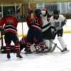hews lid action 5