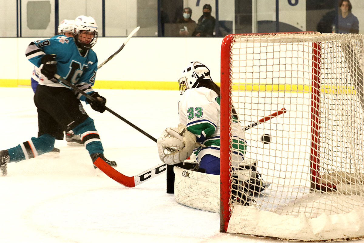 WNYGVIH Hosts Showcase NY Hockey Online