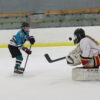 Mainstone and McLeod