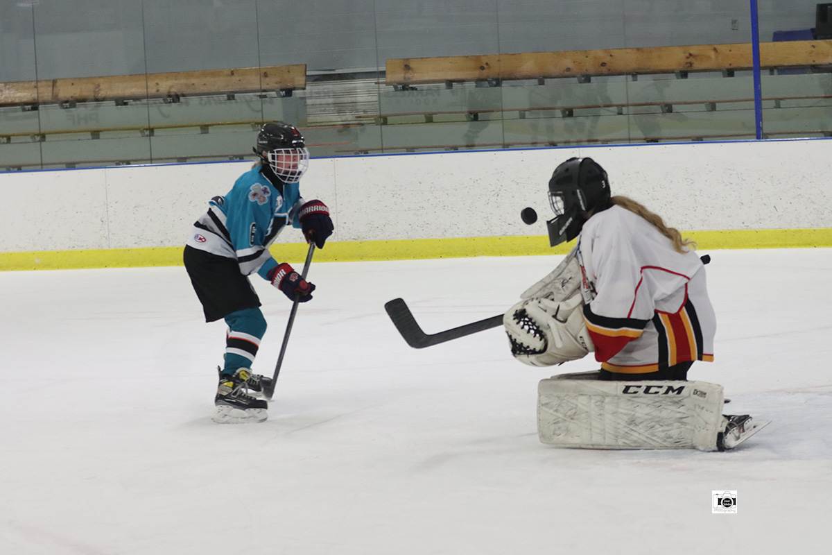 Overtimes, Shutouts, Hattricks in Week Three of WNYGVIH Play; Goalie Meyer Gets First-Ever Shut Out NY Hockey Online
