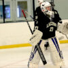 Sarah Domin skaneateles