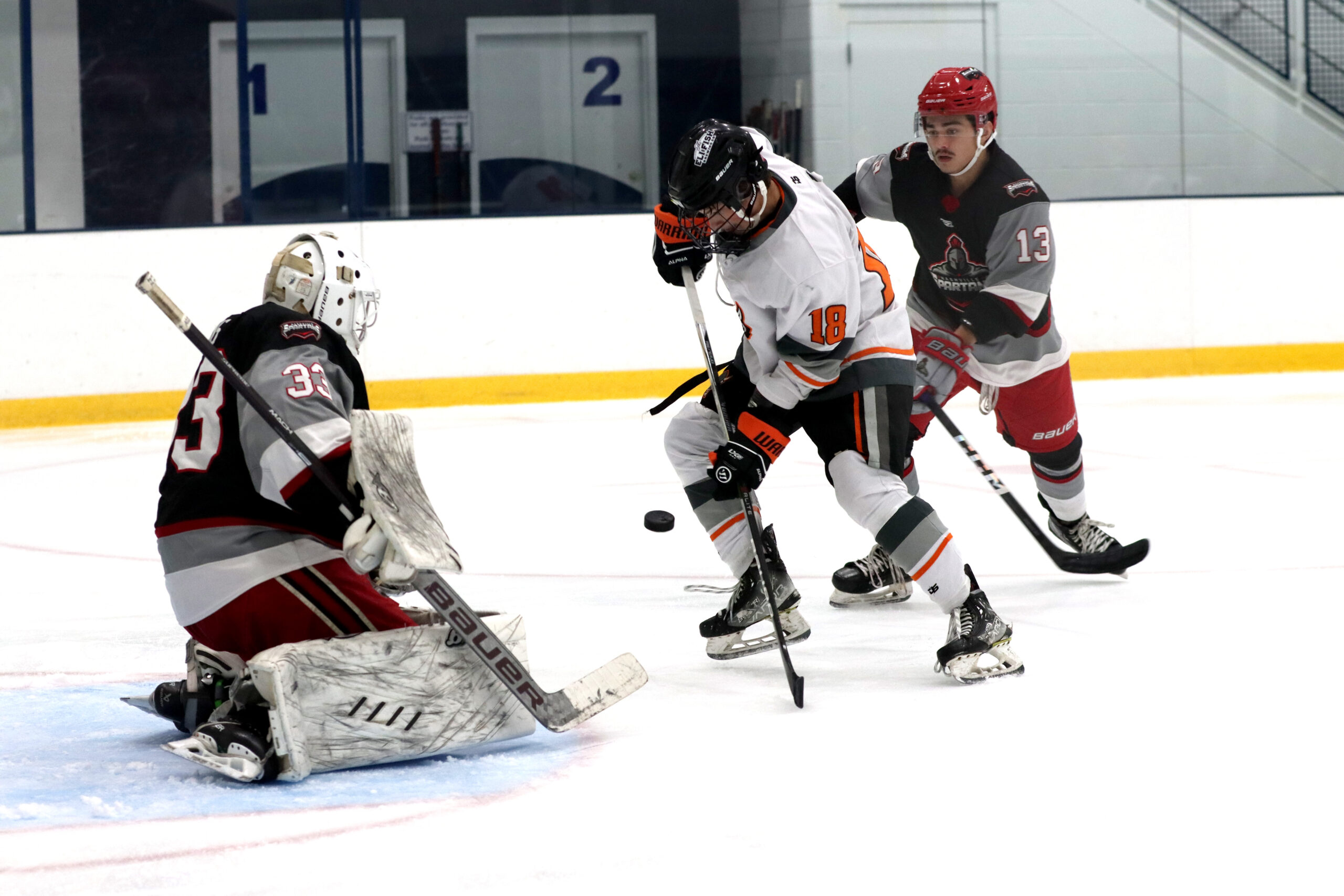 Buffalo Stampede vs Nashville Spartans Photo Album NY Hockey Online